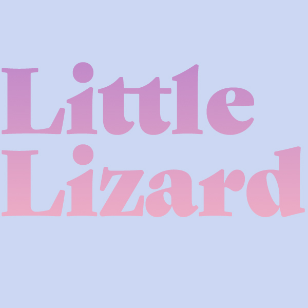 Little Lizard logo top