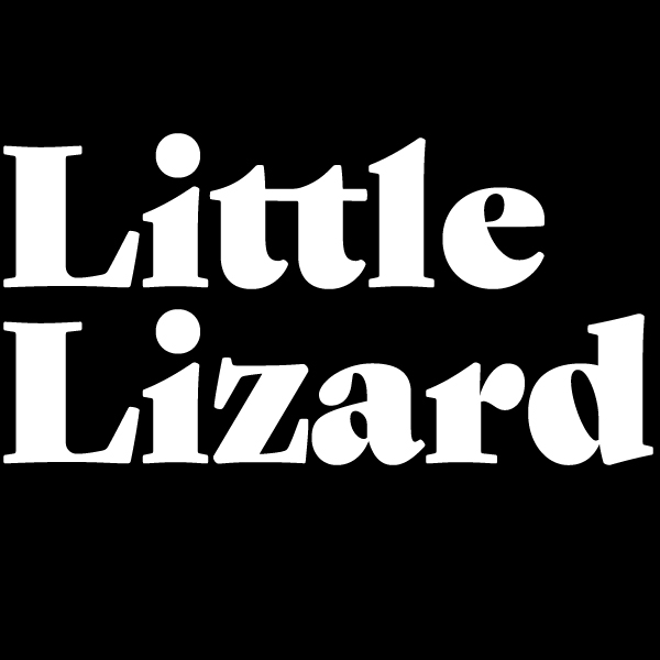 Little Lizard logo top